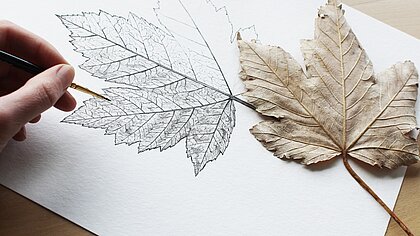 Zeichnen Blatt vom Baum